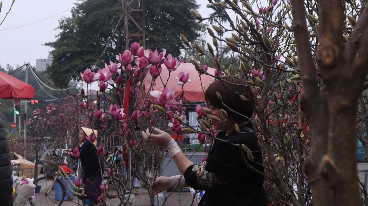 Chiều xuống ở chợ hoa Quảng Bá