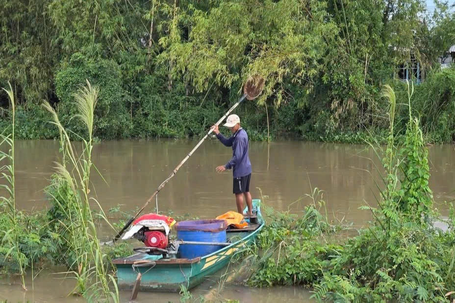 Nỗi đau dưới lòng sông: Khi dòng nước không còn bình yên