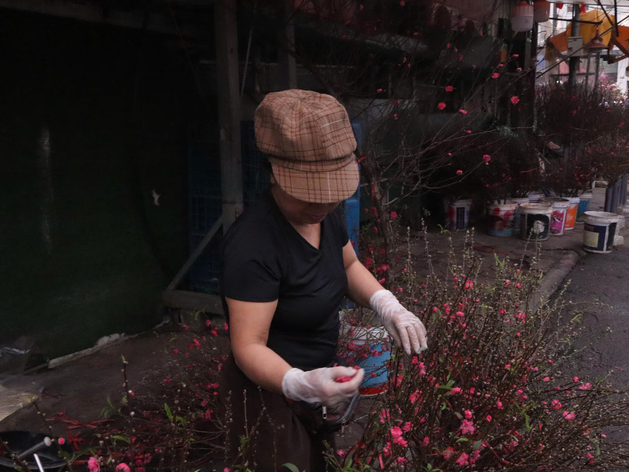 Chiều xuống ở chợ hoa Quảng Bá