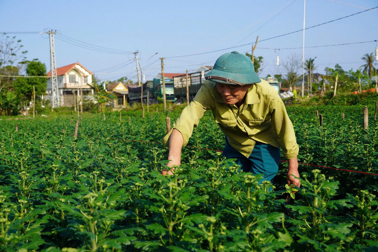Đô thị phía Bắc tỉnh Quảng Trị chuyển mình, bứt phá