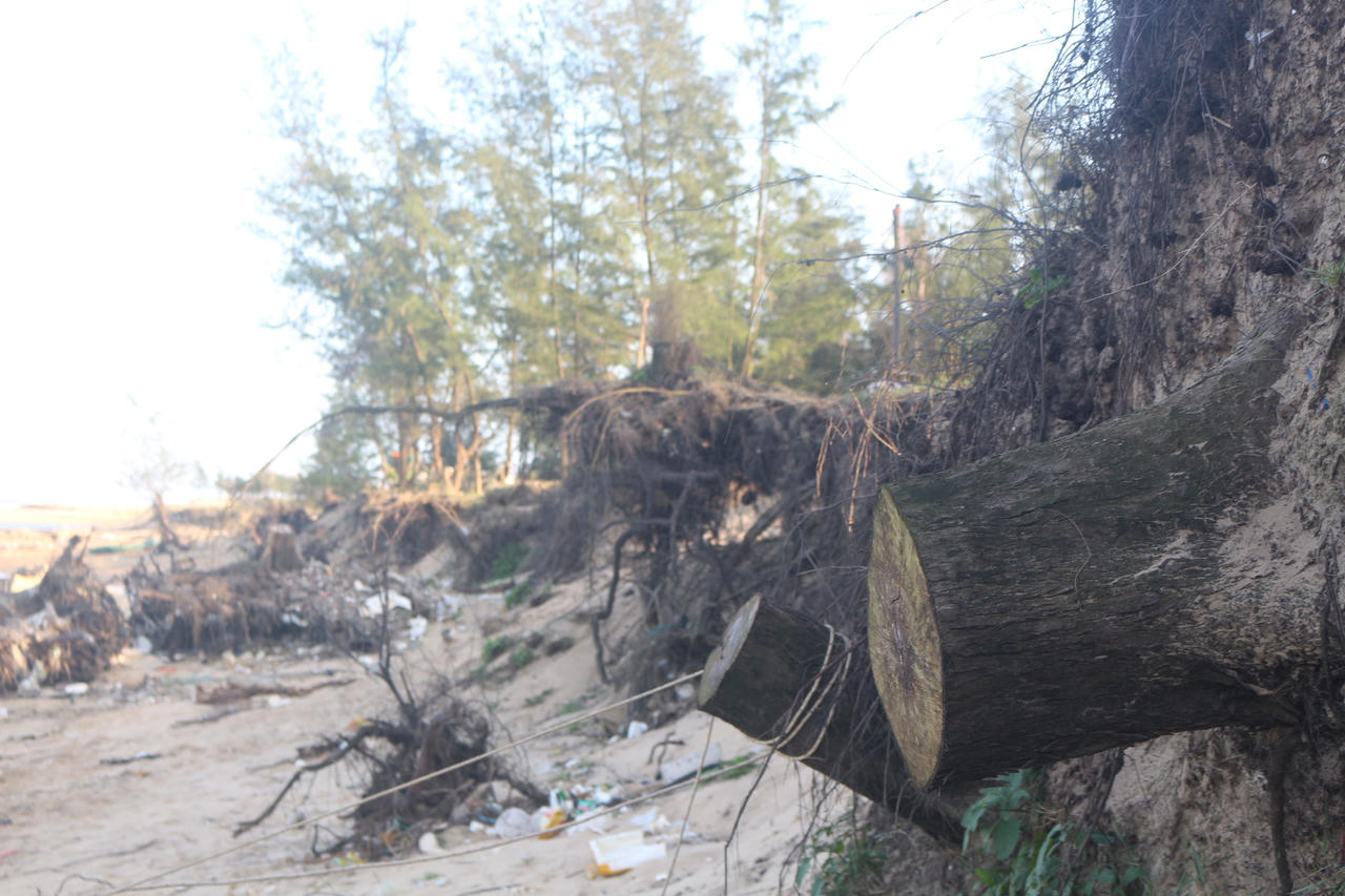 Quảng Trị: Cửa biển Lý Hòa bị bồi lấp, hàng trăm tàu cá “mắc kẹt”, sinh kế ngư dân gặp khó