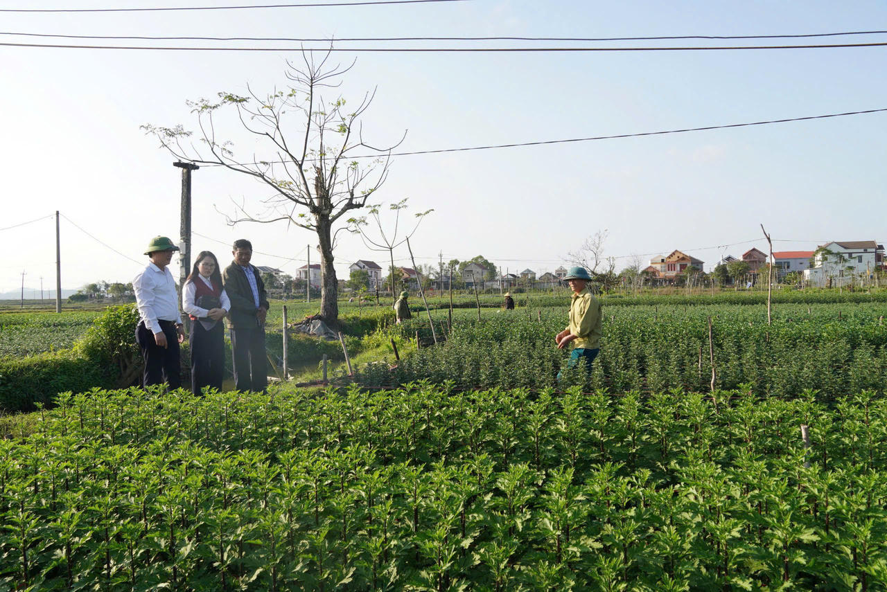 Đô thị phía Bắc tỉnh Quảng Trị chuyển mình, bứt phá