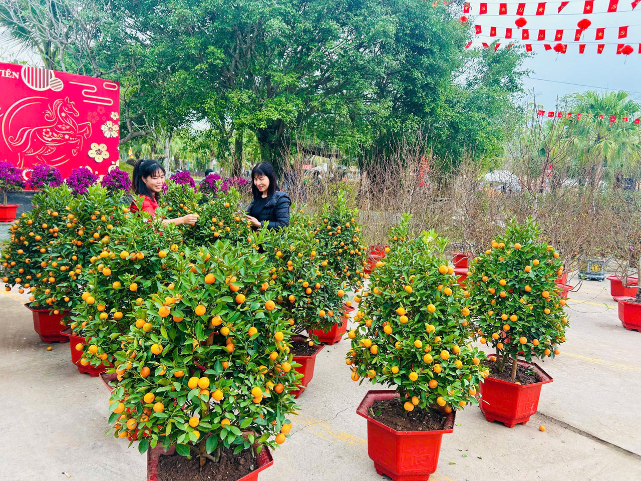 Nhộn nhịp hội chợ hoa Tết, nhạc xuân dành cho… người đã khuất