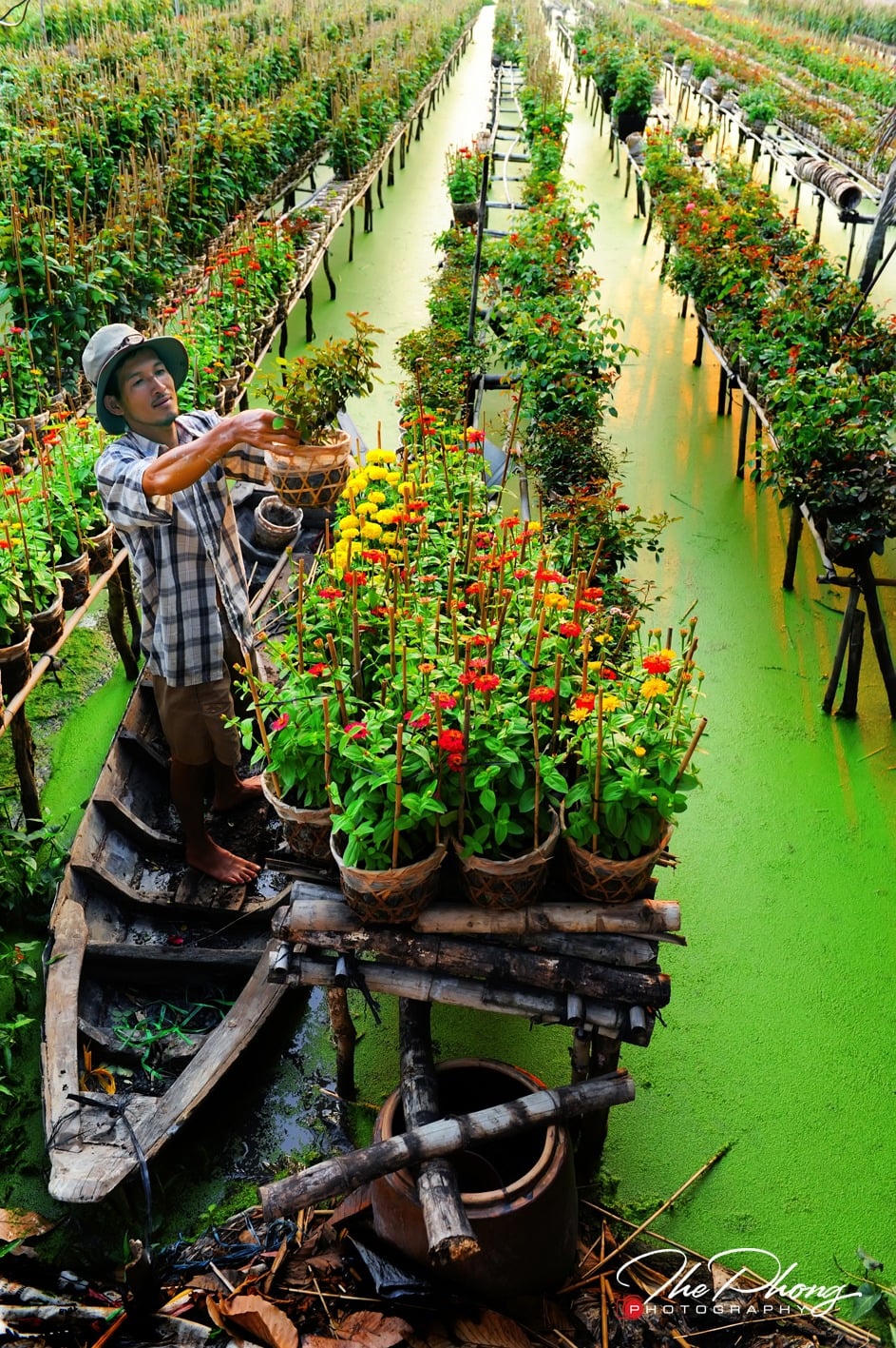 Rước xuân về 1