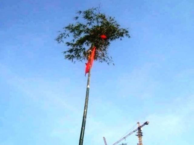 Người phụ nữ nguy kịch do điện giật khi dựng cây nêu chơi Tết