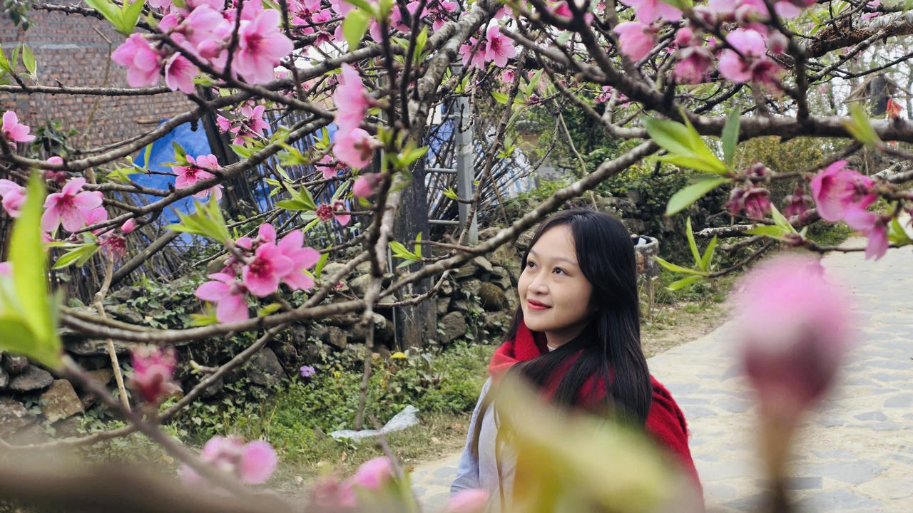 Sắc xuân trên bản du lịch Sì Thâu Chải