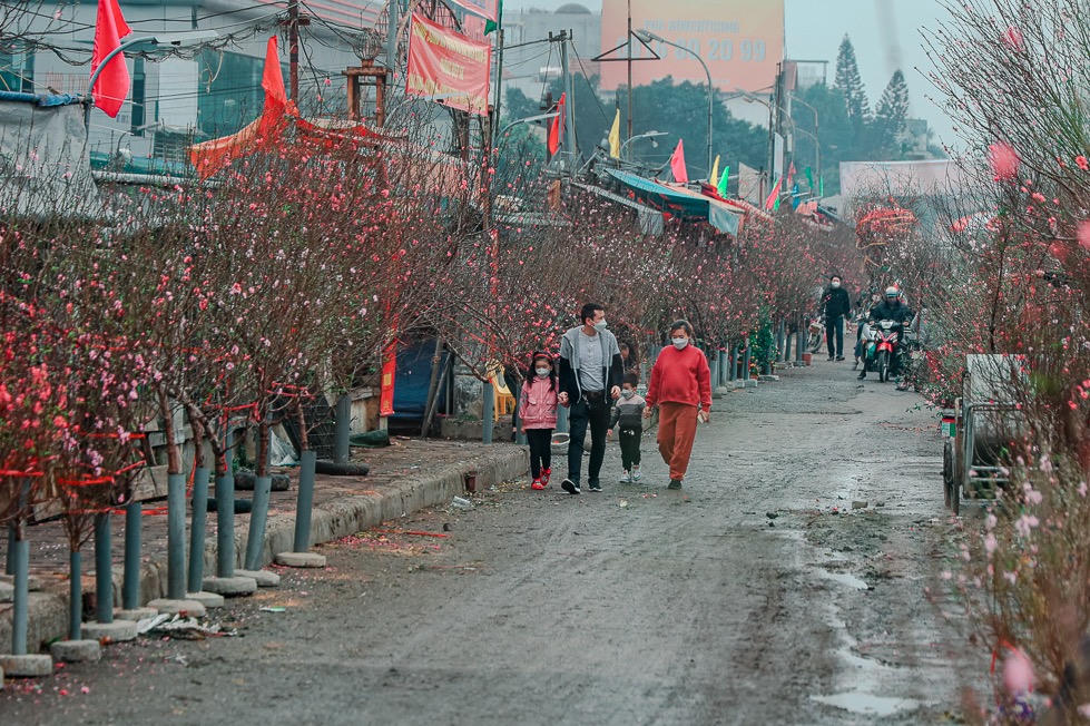 Dự báo mới nhất xu thế thời tiết dịp Tết Nguyên đán Bính Ngọ