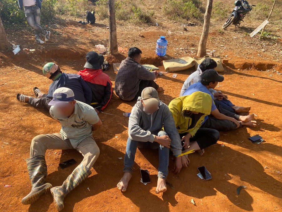 Triệt phá tụ điểm đá gà trong vườn cao su tại xã biên giới