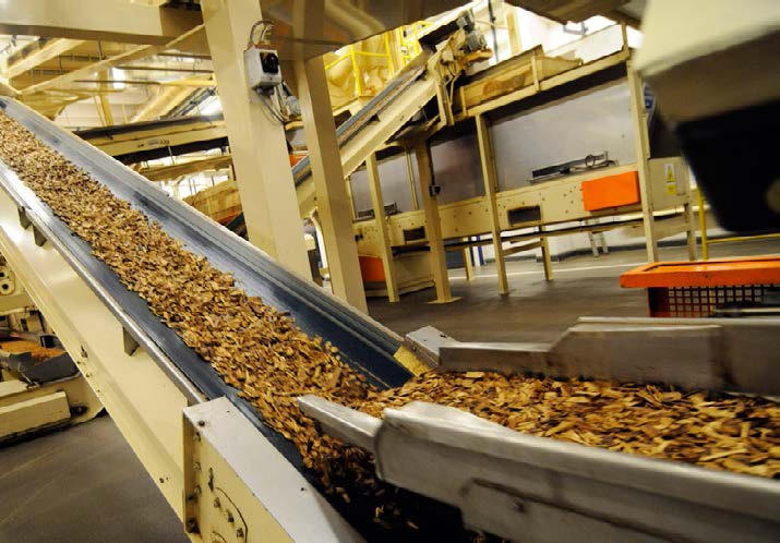 Bộ Công Thương ấn định hạn ngạch nhập khẩu gần 80.000 tấn thuốc lá nguyên liệu năm 2026