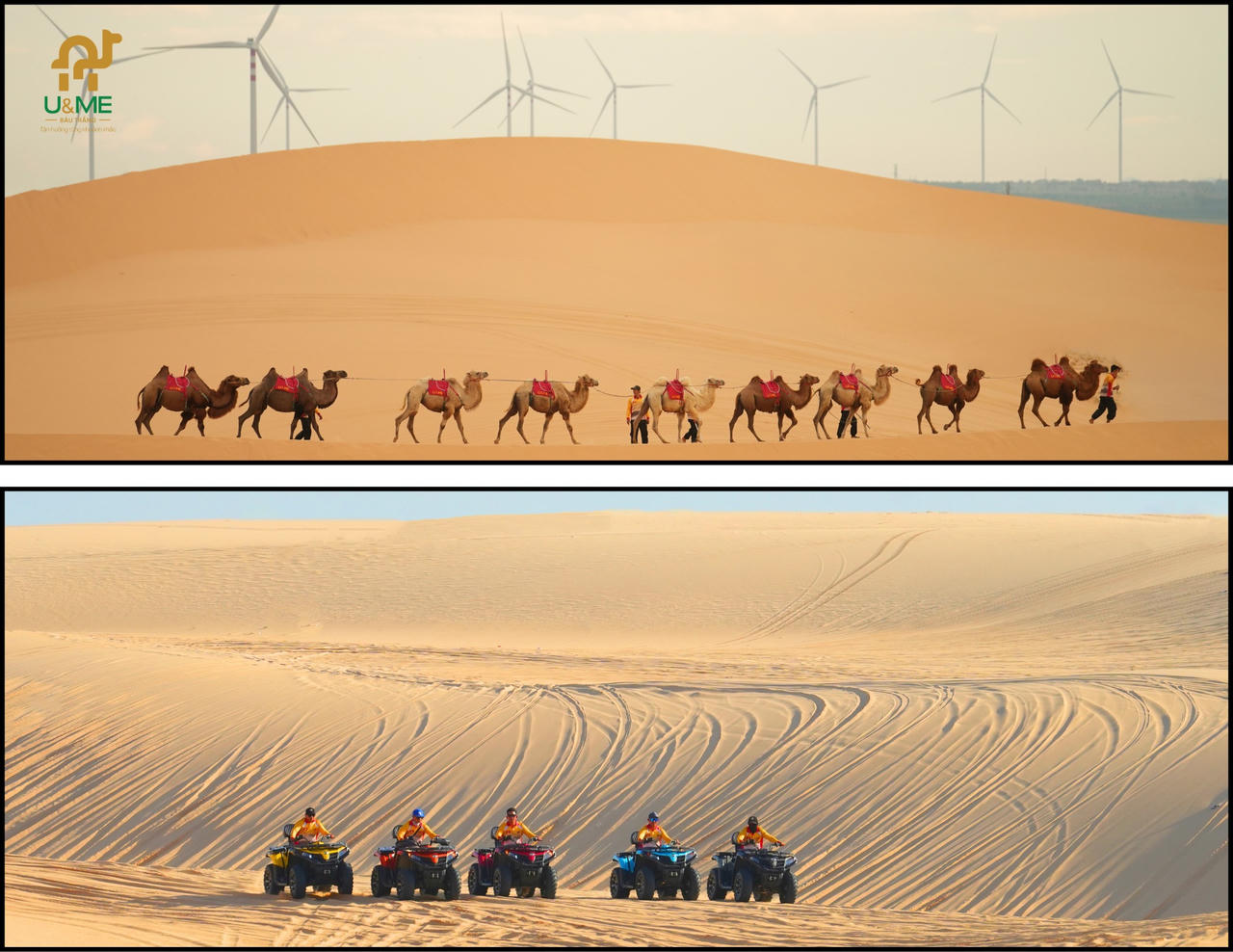 Nét đặc trưng của KDL Bàu Trắng U&Me là cưỡi Mô tô địa hình và lạc đà vượt đồi cát Trinh Nữ