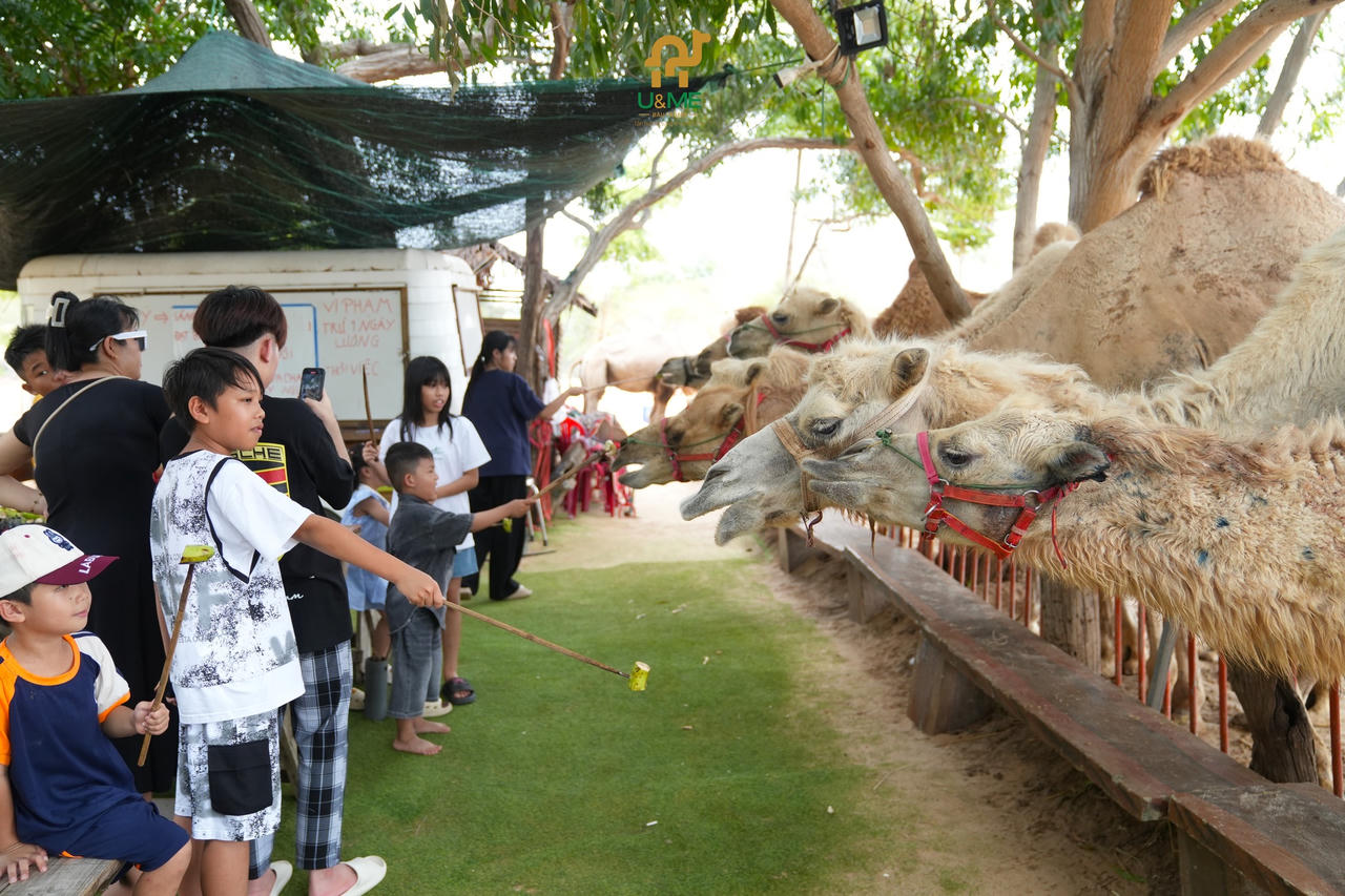 Nhiều dịch vụ thu hút du khách ở mọi lứa tuổi