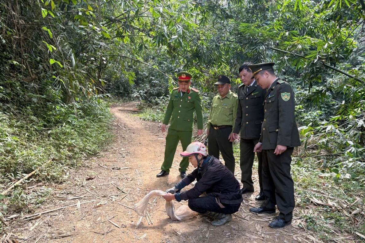 Thanh Hóa tăng cường quản lý, bảo vệ động vật hoang dã