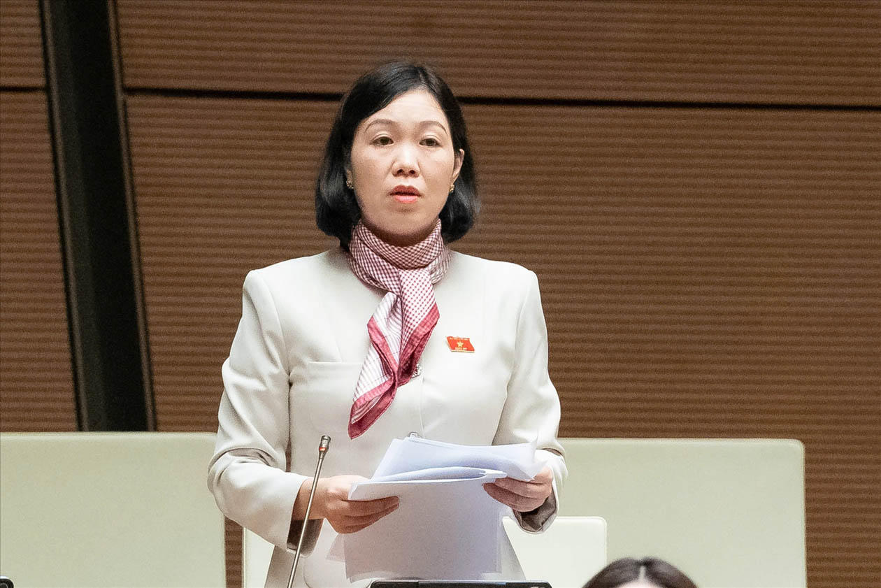 Đại biểu Nguyễn Thị Lan Anh.
