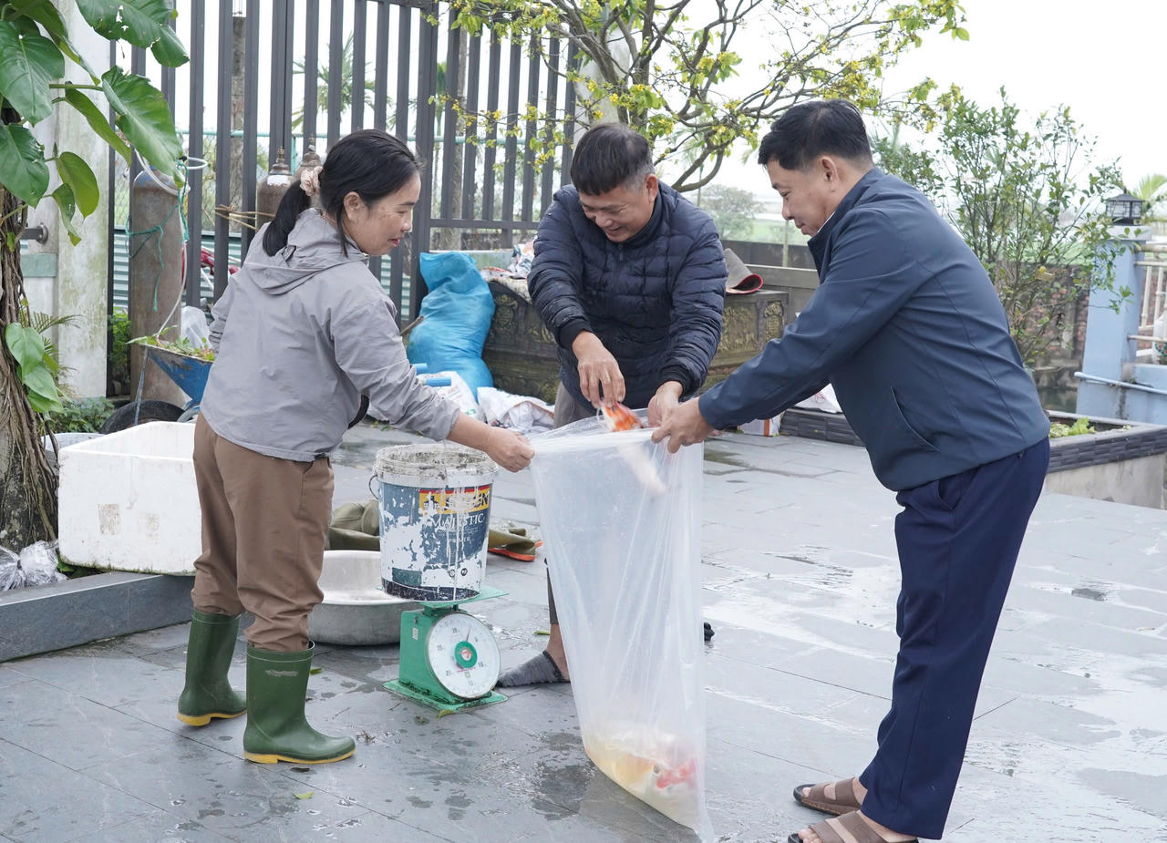 Cá chép đỏ Ninh Châu, sẵn sàng bước vào phục vụ ngày ông Công, ông Táo.