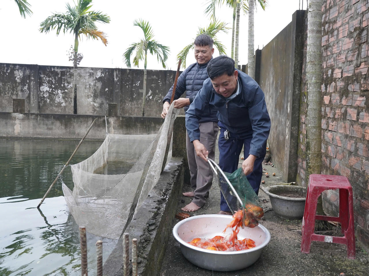 Làng cá chép đỏ Ninh Châu (Quảng Trị) hối hả phục vụ Tết ông Công, ông Táo