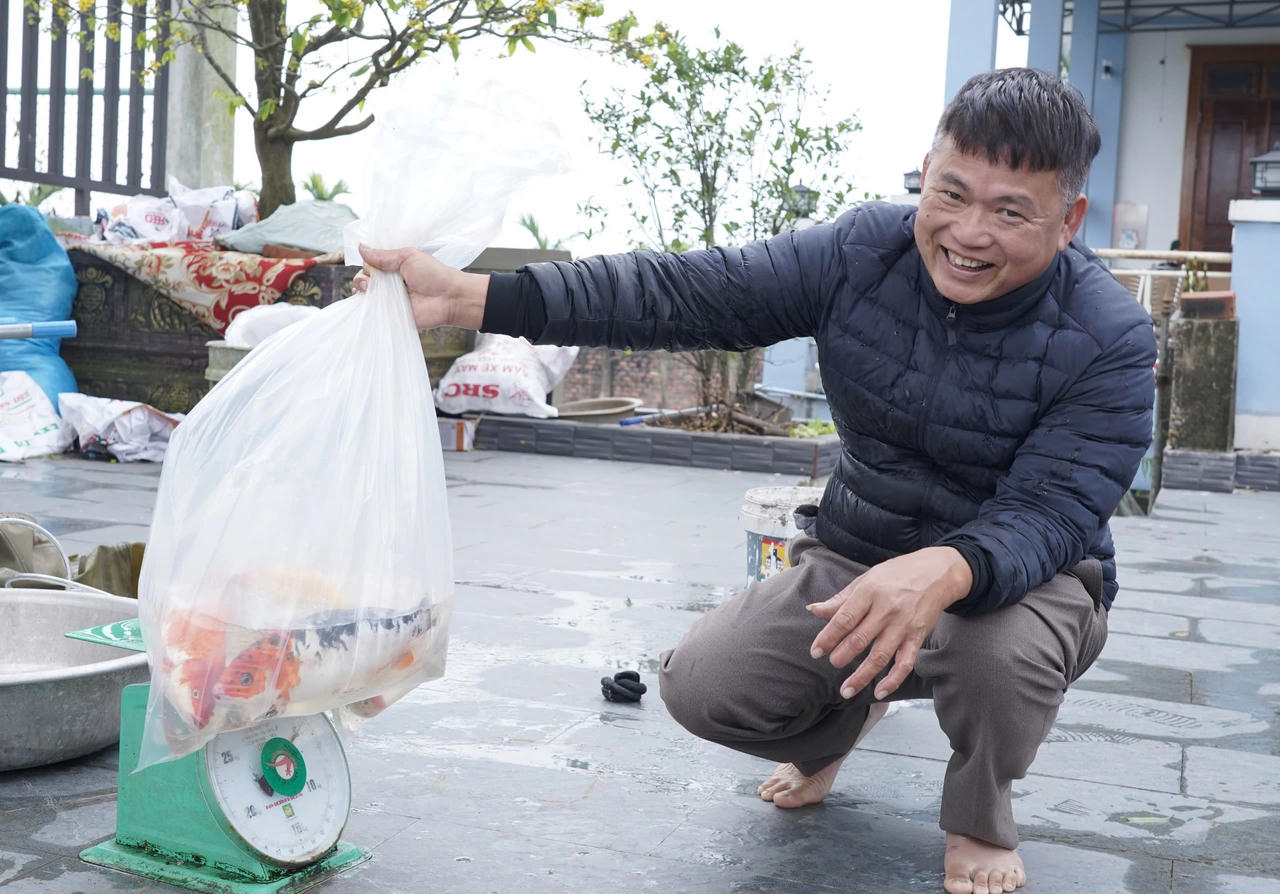 Niềm vui của người nuôi cá chép đỏ Ninh Châu khi cân cá xuất bán phục vụ thị trường ông Công, ông Táo ngày 23 tháng Chạp.