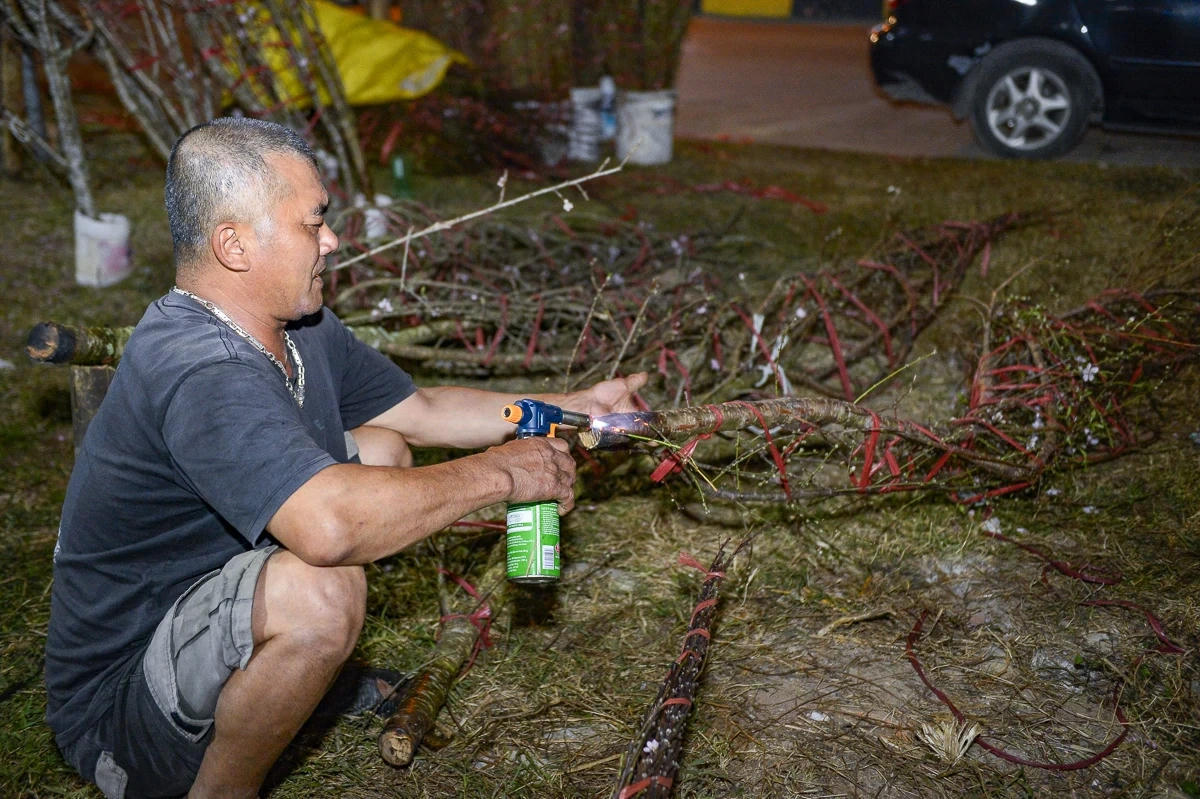 Người buôn đào đốt&nbsp;gốc để giữ nhựa, giúp hoa bền màu, lâu tàn.