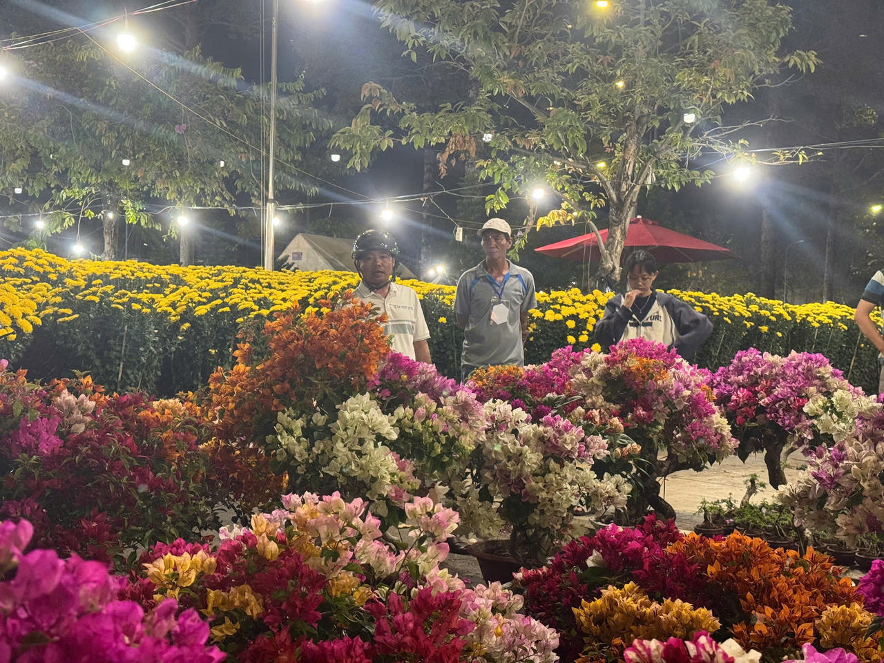 Hoa Tết phân khúc bình dân chiếm chủ đạo.