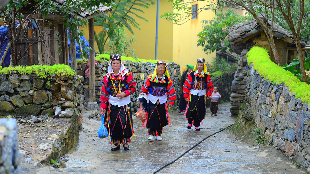 Hoa xuân trên núi đá