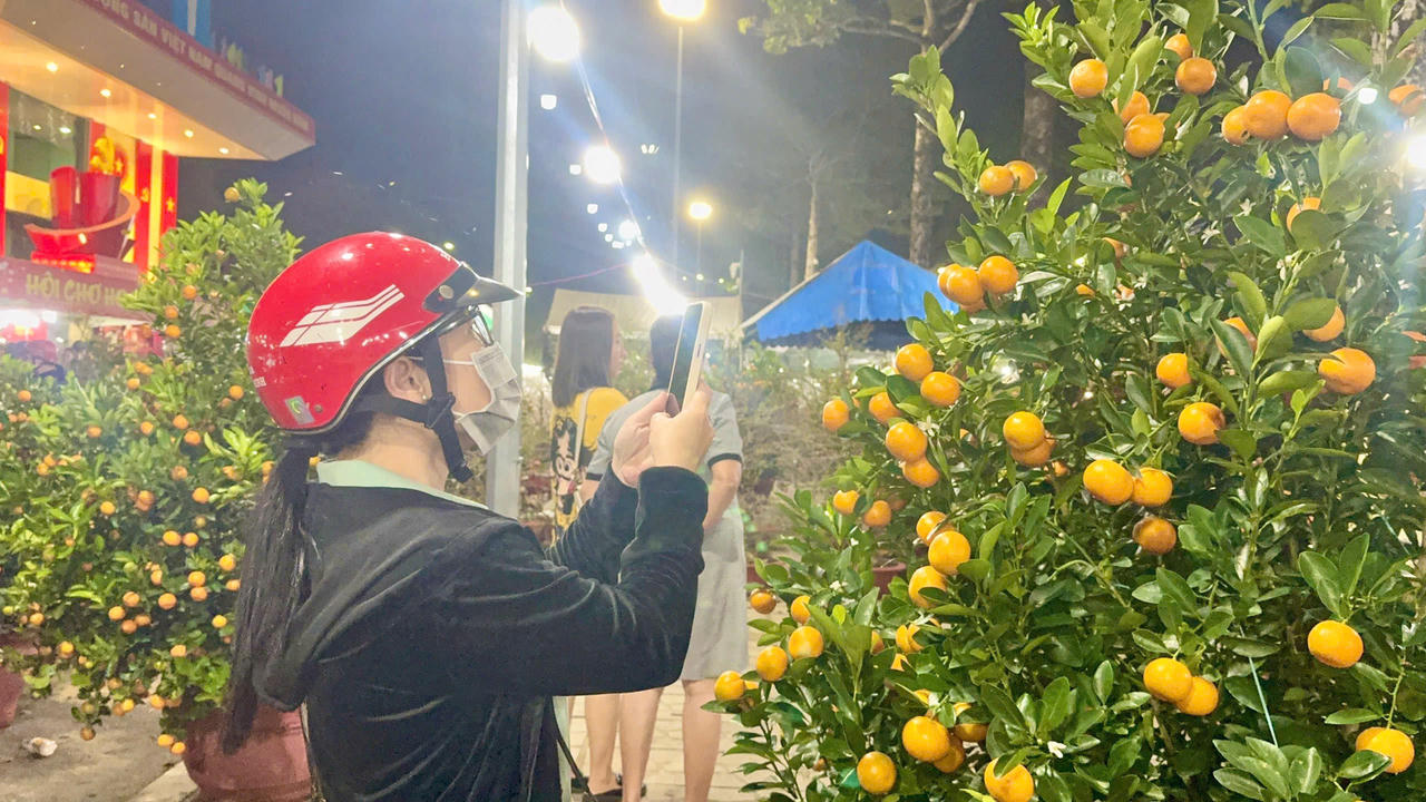 Hoa Tết, cây cảnh bày bán dày đặc trên nhiều tuyến đường trung tâm Đồng Nai.