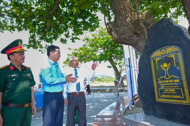 Di sản xanh nơi đảo tiền tiêu Cồn Cỏ