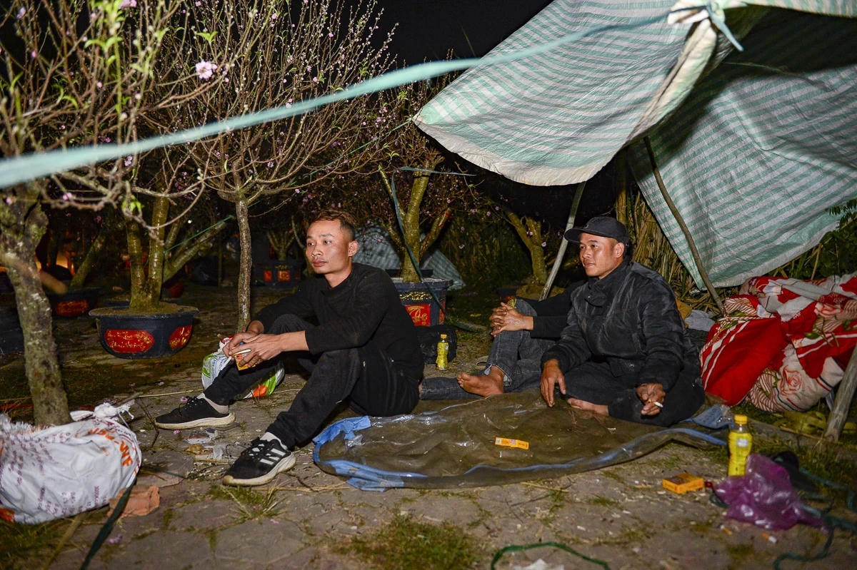 Giữa cái giá lạnh của thời tiết, người buôn cây tết vẫn miệt mài mưu sinh.