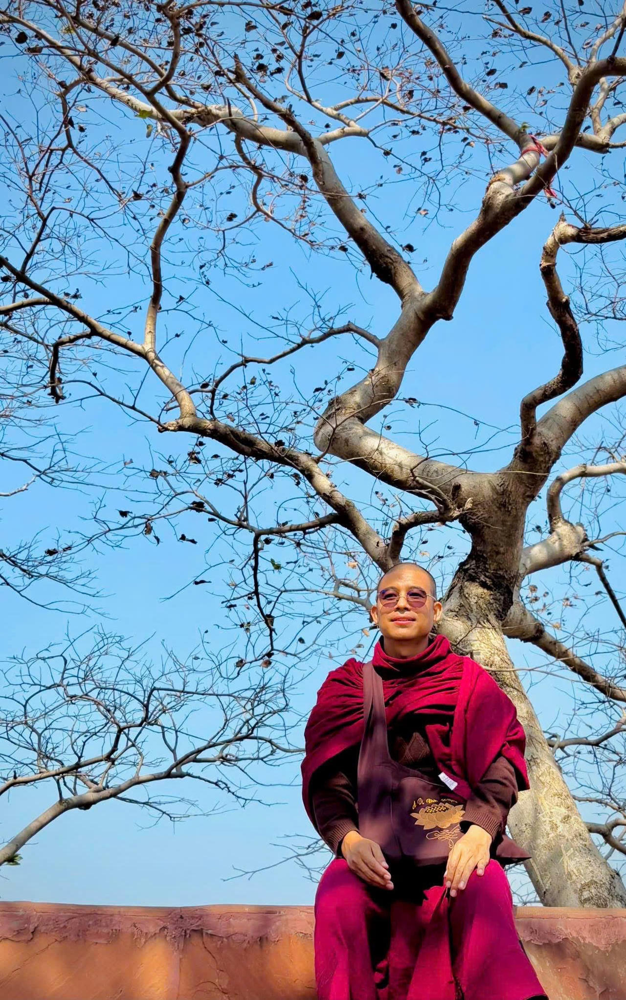 Tết, Phật giáo và môi trường 1