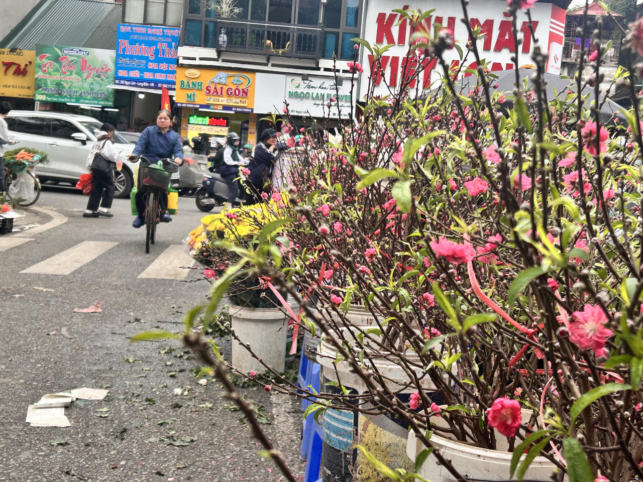 Phố phường Hà Nội rộn ràng đón Tết Nguyên đán