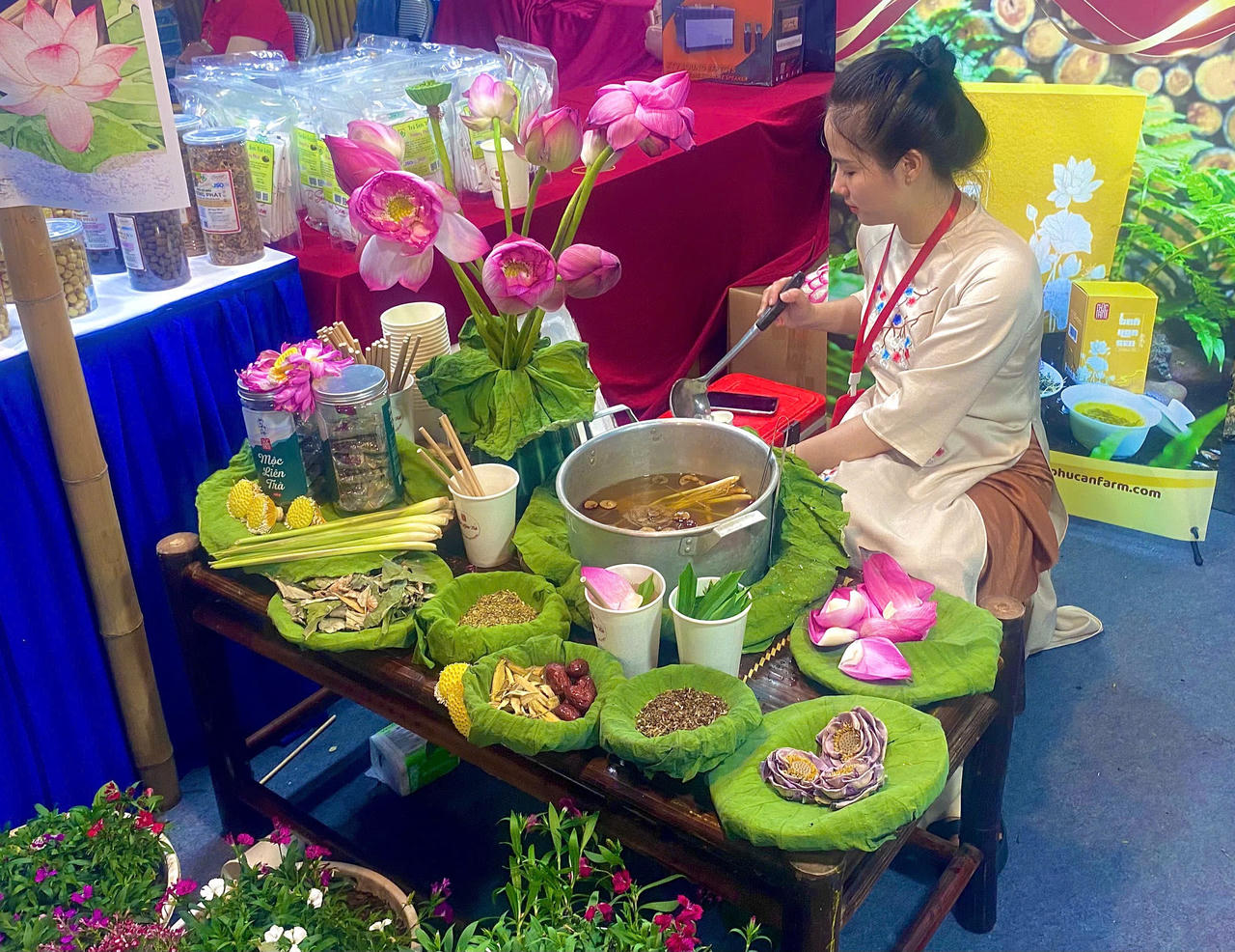 Thủ đô Hà Nội luôn giữ nét đẹp truyền thống, thanh lịch. (Ảnh: Hương Ngọc)