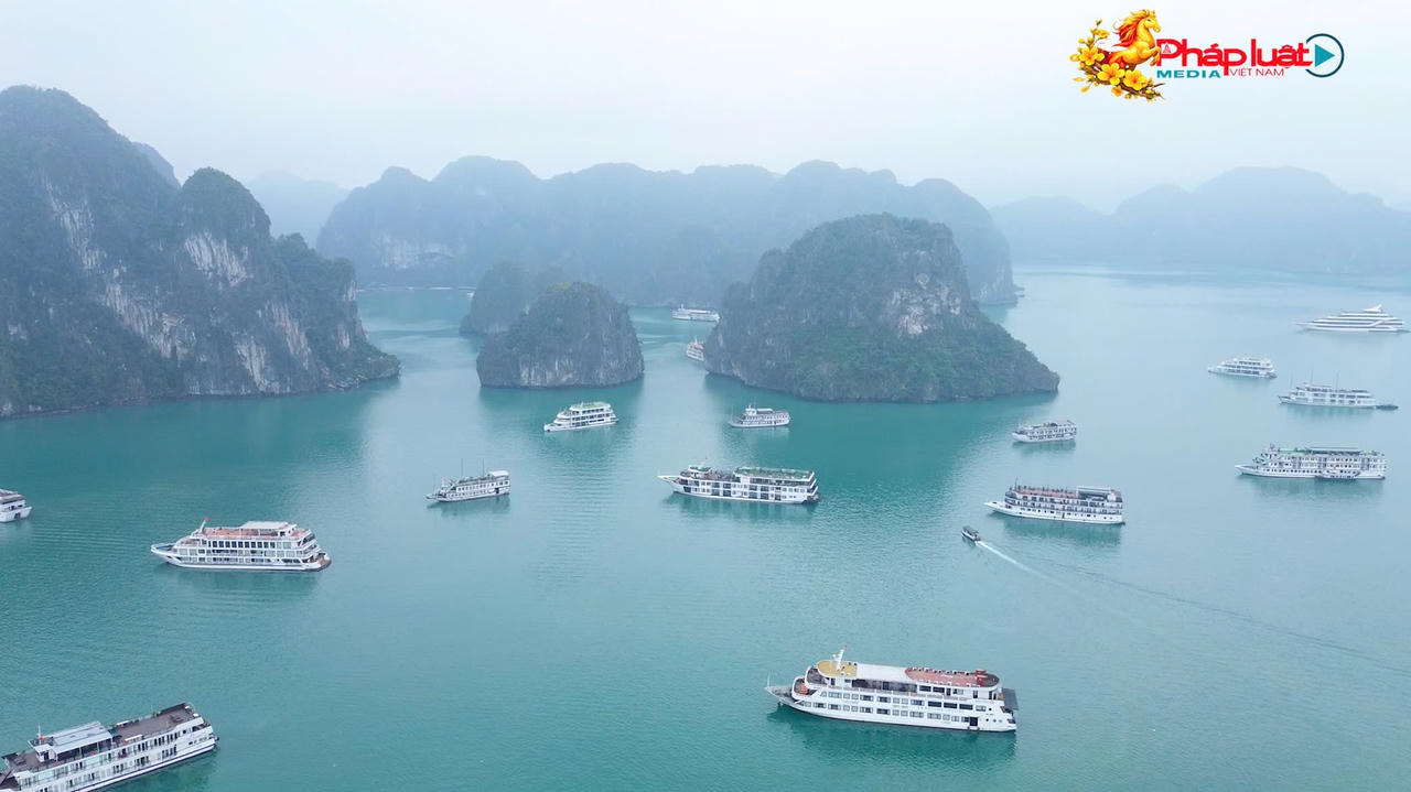 Vịnh Hạ Long sẵn sàng đón khách dịp Tết Nguyên đán Bính Ngọ 2026