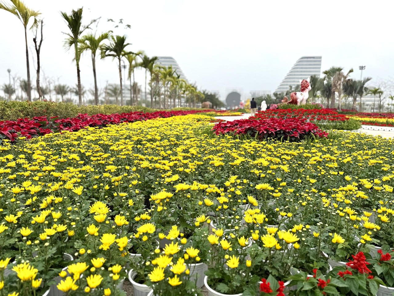 'Check-in' Hải Phòng tại quảng trường Trung tâm Chính trị – Hành chính bên bờ Bắc Sông Cấm