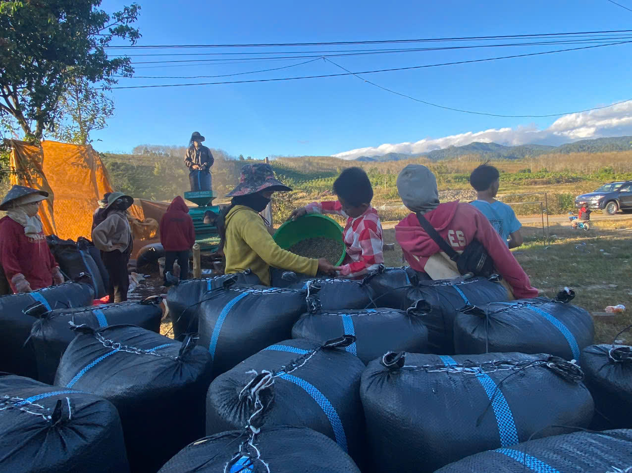 Người dân giàu lên từ cà phê.
(Ảnh trong bài: Lam Hạnh - Đoàn Thạnh)