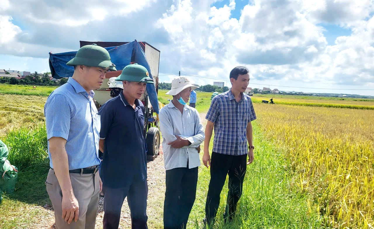 Xã Vĩnh Linh (Quảng Trị): Từ “giữ nhịp” đến kiến tạo động lực phát triển mới
