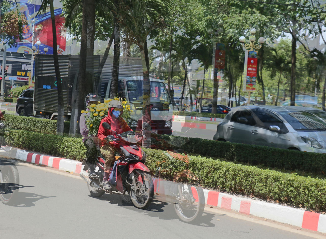 Các chậu cúc nhỏ có giá từ 100.000 - 300.000 đồng cặp được người dân mua về nhà trưng tết