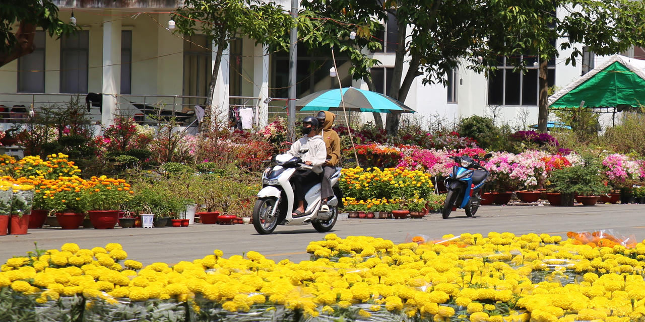 Hội chợ hoa xuân tại Trung tâm Sự kiện và Đối ngoại tỉnh Đồng Nai có hàng trăm gian hàng hoa, cây cảnh thu hút người dân đến tham quan, chụp hình, lựa chọn hoa, cây cảnh trang trí.