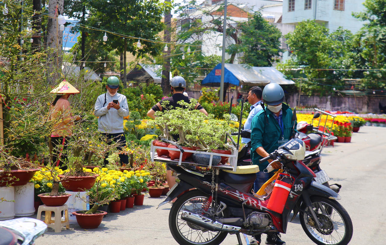 Năm nay, thương lái tập trung nhiều vào phân khúc bình dân, kích thước vừa và nhỏ, giá phù hợp túi tiền người dân.