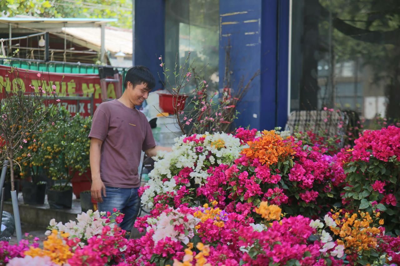 Trên đường Nguyễn Ái Quốc (phường Trấn Biên) có hàng chục gian hàng bày bán đủ loại hoa, tạo nên khung cảnh bắt mắt, làm đẹp phố phường.