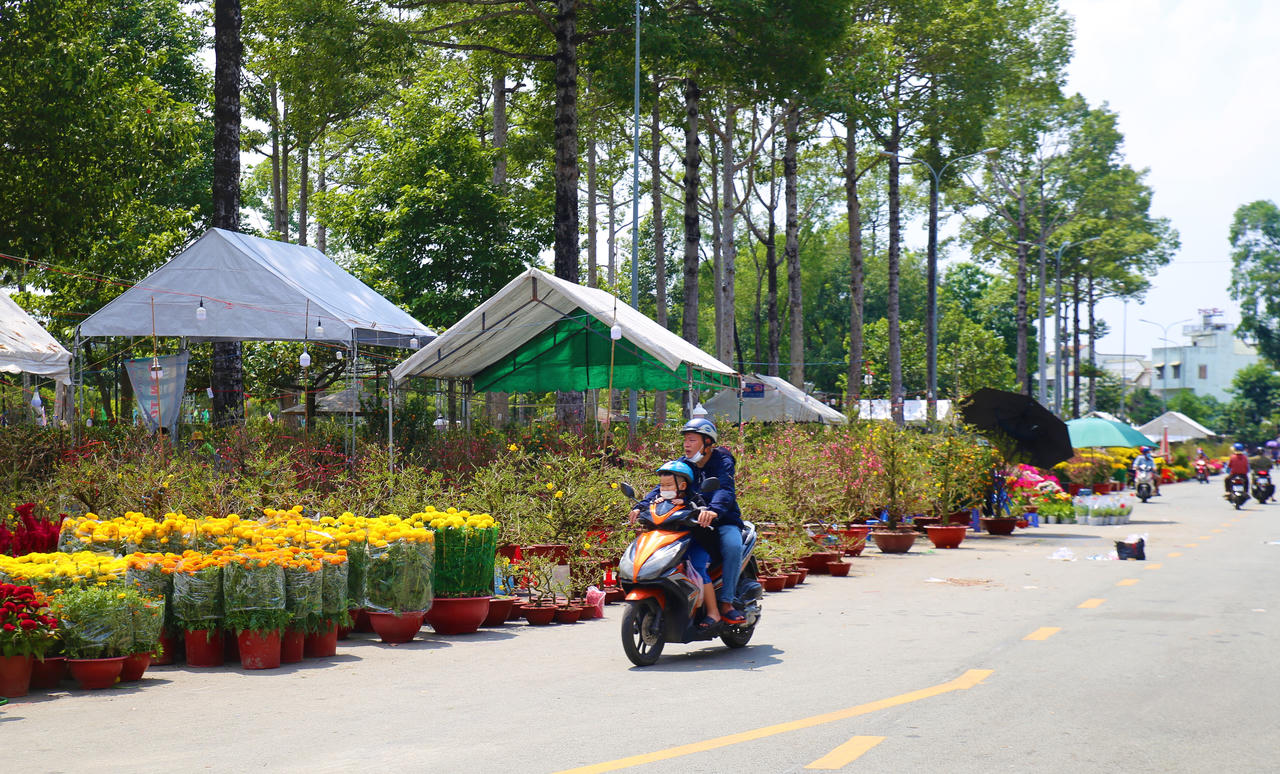 Thị trường hoa, cây cảnh đa dạng chủng loại, giá trải rộng nhiều phân khúc nhưng sức mua năm nay giảm mạnh.