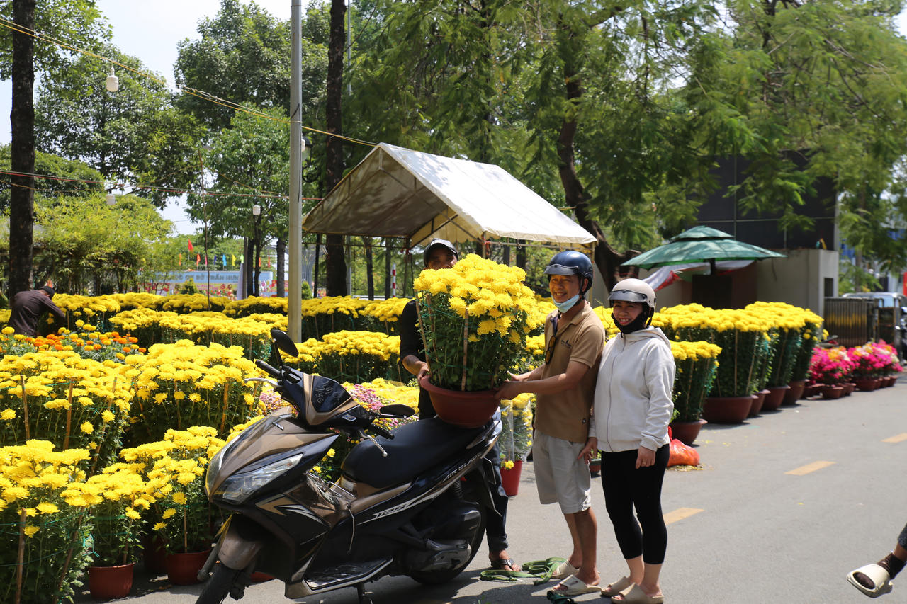 Một cặp vợ chồng mua hoa cúc về trang trí nhà cửa dịp tết. Theo họ, năm nay các loại hoa phổ thông có mức giá khá dễ chịu, phù hợp với nhu cầu trang trí đơn giản, ấm cúng.