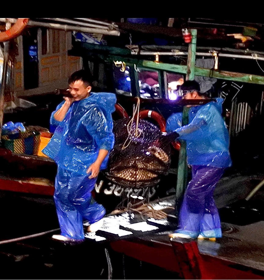 Nhịp lao động bận rộn những ngày giáp Tết của ngư dân.