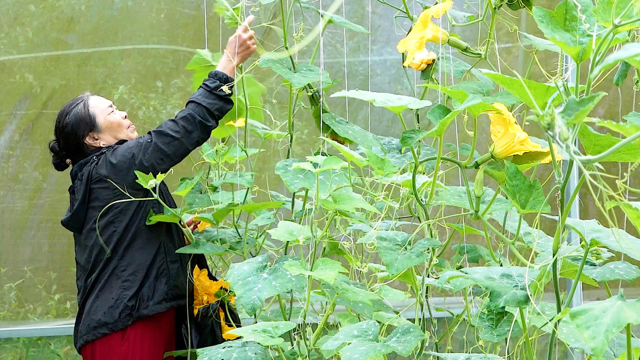 Tái cấu trúc đô thị ven biển, cách Bắc Gianh (Quảng Trị) tạo đòn bẩy tăng trưởng mới