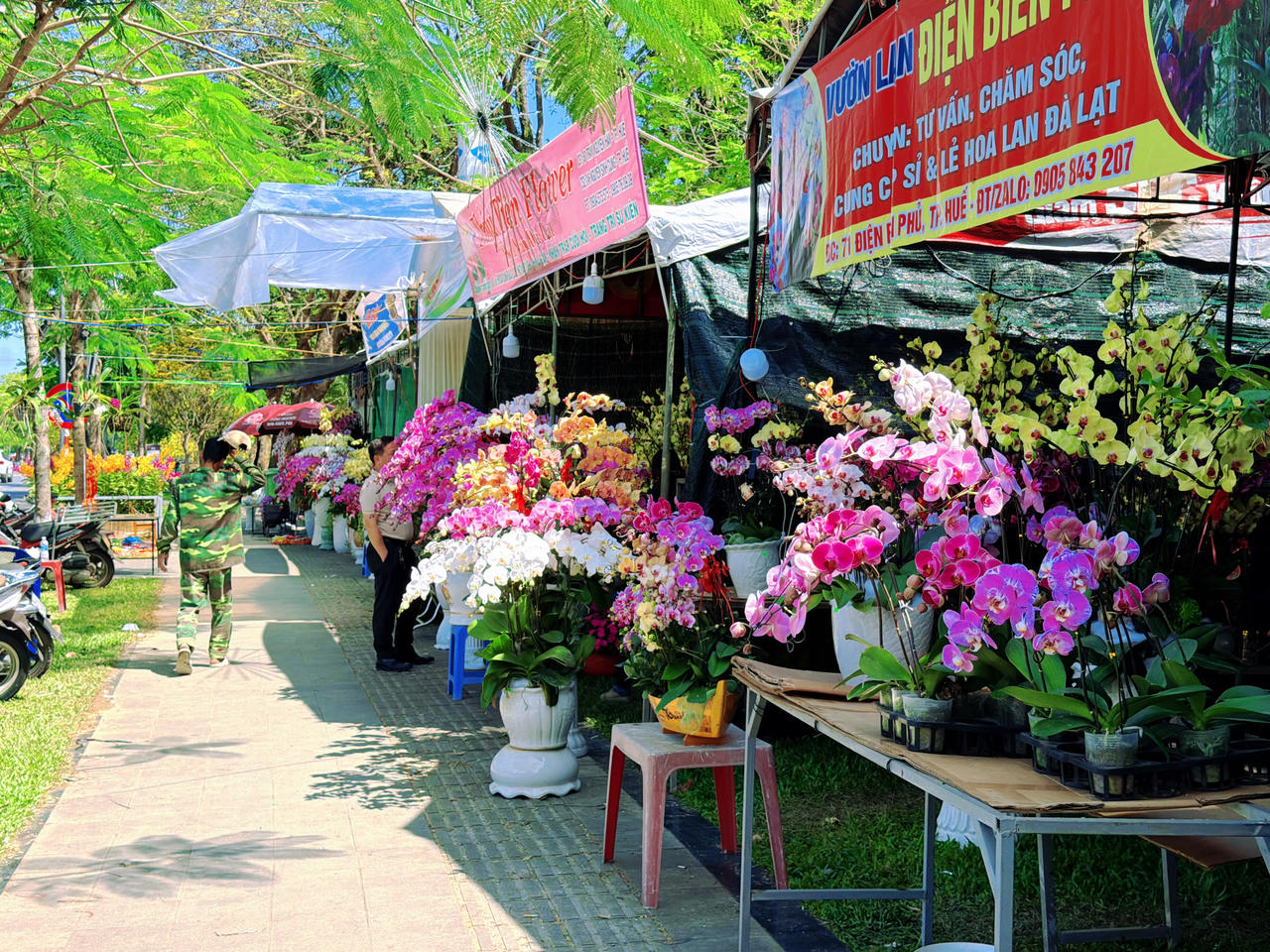 Khu chợ hoa nhộn nhịp với nhiều loại lan phục vụ nhu cầu mua sắm, trang trí nhà cửa dịp Tết của người dân Cố đô.