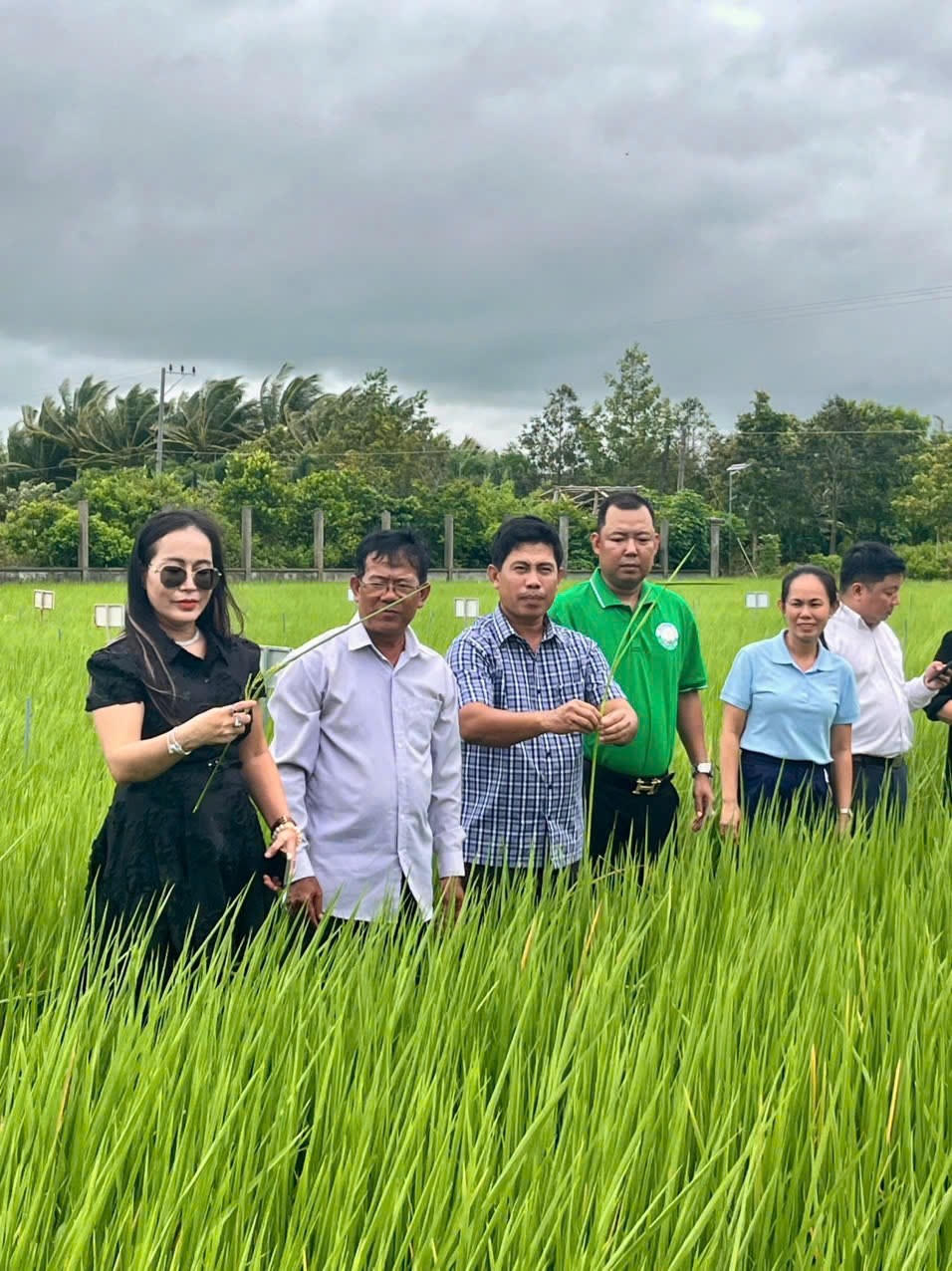 Bước sang năm 2026, Toàn Cầu Group dự kiến mở rộng vùng nguyên liệu lúa chất lượng cao, phát thải thấp lên mức 100.000 héc-ta tại khu vực ĐBSCL.