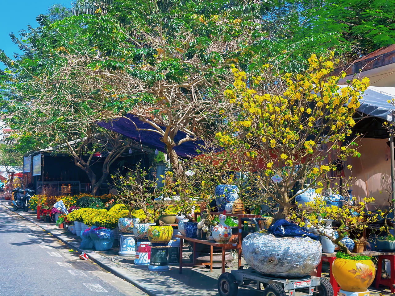 Hoa được bày bán dọc đường Lê Quý Đôn.