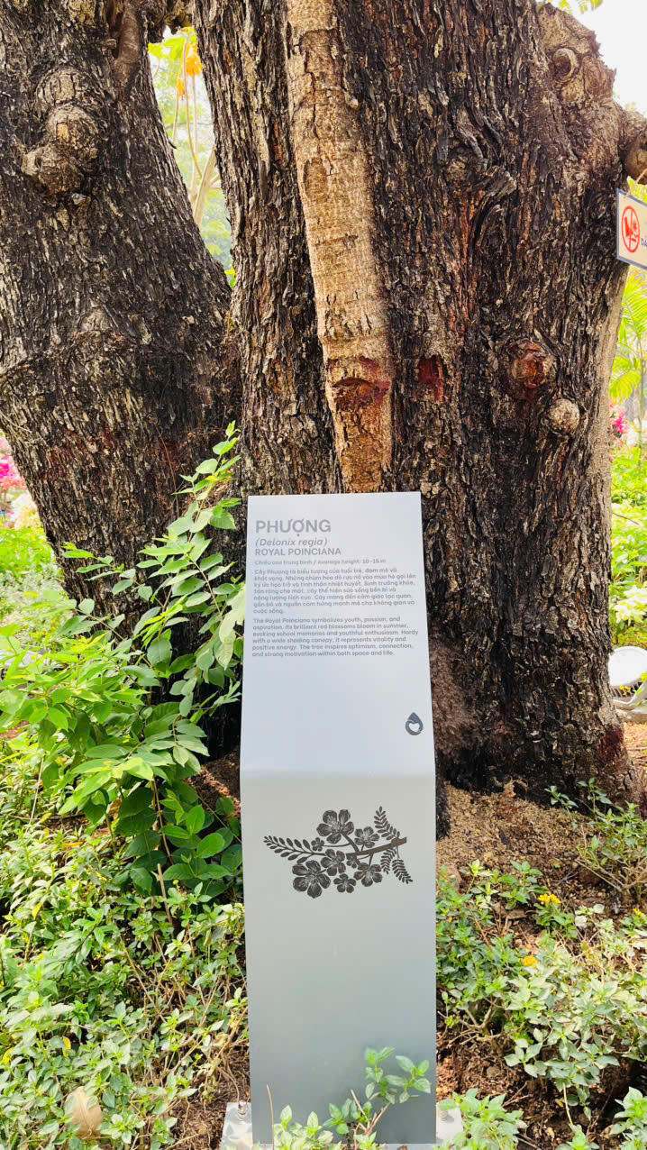 Lắng lòng tại không gian tưởng niệm nạn nhân COVID-19 giữa lòng thành phố