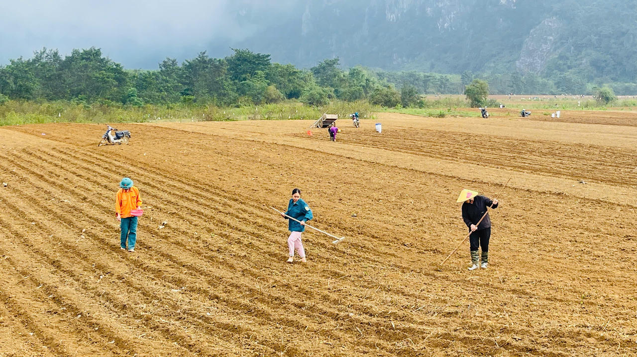 Kim Phú xác lập “điểm tựa” bứt phá sau sáp nhập