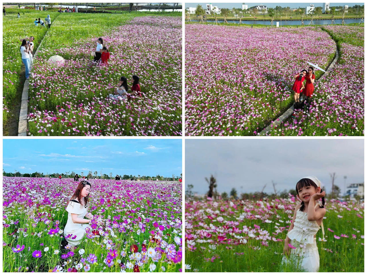 Vườn hoa nhái cũng là không gian sinh hoạt văn hóa cộng đồng, thu hút đông đảo người dân và du khách du xuân, ghi lại khoảnh khắc đầu năm.