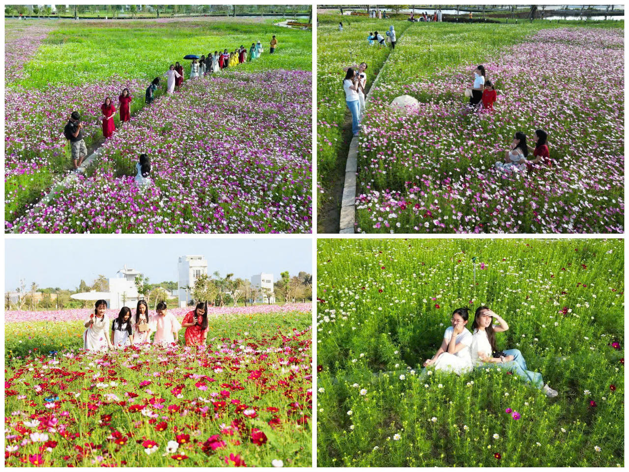 Điểm hẹn du xuân giữa lòng đô thị nơi địa đầu cực Nam Tổ quốc