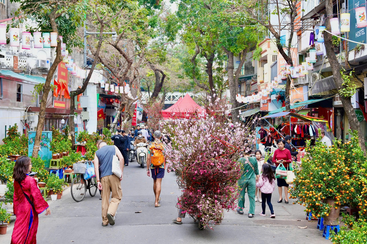 Chợ Hoa xuân Phố cổ 2026: Điểm hẹn kết nối truyền thống
