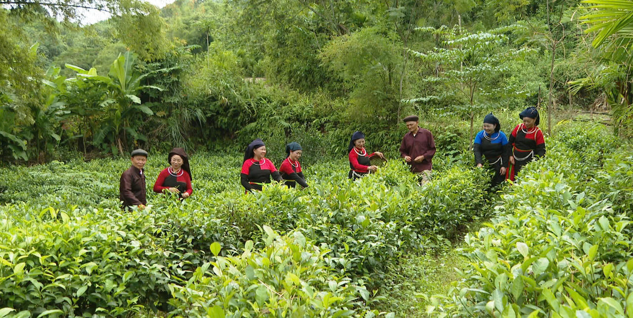 Người Cao Lan mặc trang phục truyền thống hát Sình ca.